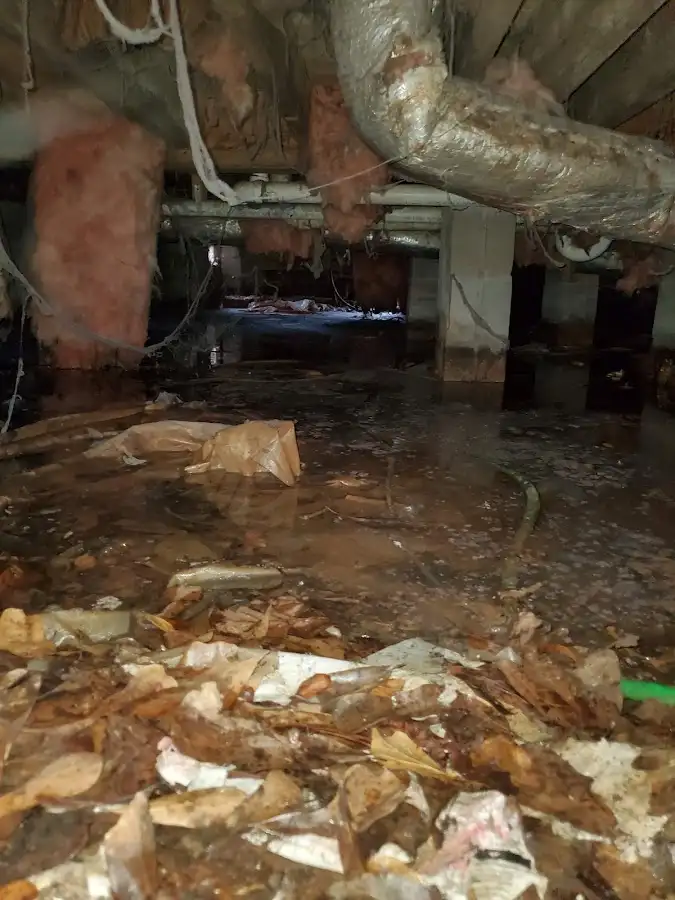 Crawl space flood assessment for Commercial Water Damage Restoration in Port St. John