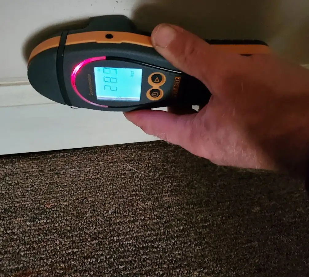 Moisture detection at baseboard during Mold Inspection & Testing in Port St. John